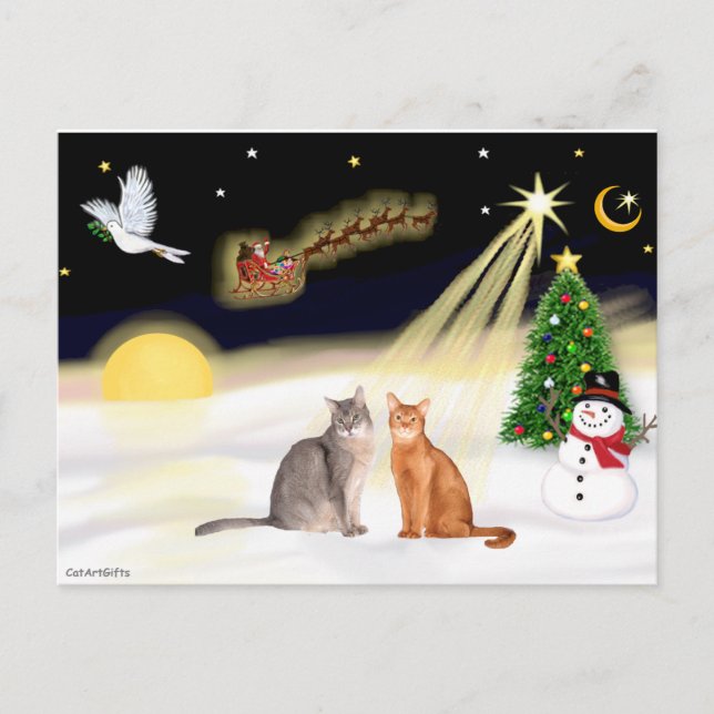 Night Flight - Two Abyssinian cats Postcard (Front)