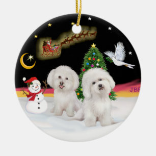 Night Flight - Two Bichon Frise Ceramic Tree Decoration