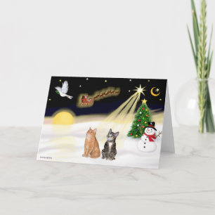 Night Flight - Two Tabby Cats Holiday Card