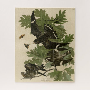 Night Hawk - John James Audubon's Birds of America Jigsaw Puzzle