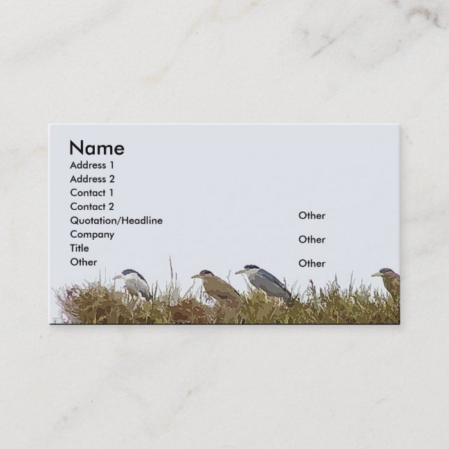 Night Heron Business Card (Front)