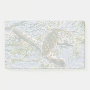 Night Heron jv Post-it Notes