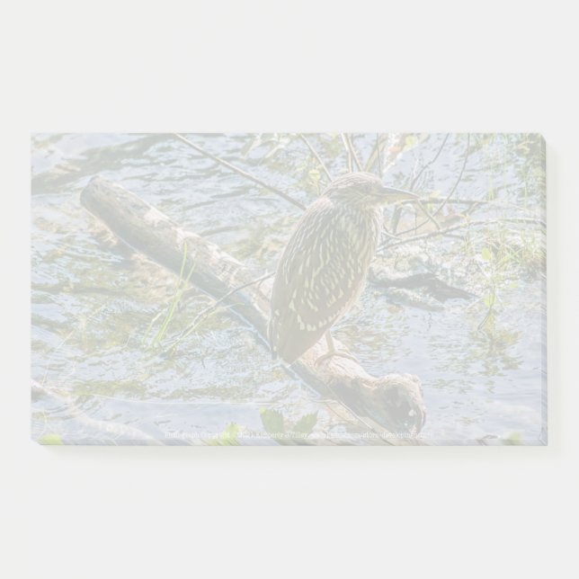 Night Heron jv Post-it Notes (Front)