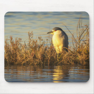 Night Heron Mousepad Golden Marsh Shorebird Art