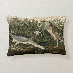 Night Heron, Qua Bird, Audubon's Birds of America Decorative Cushion