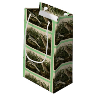 Night Heron, Qua Bird, Audubon's Birds of America Small Gift Bag