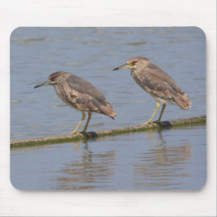 Night Herons Mouse Mat