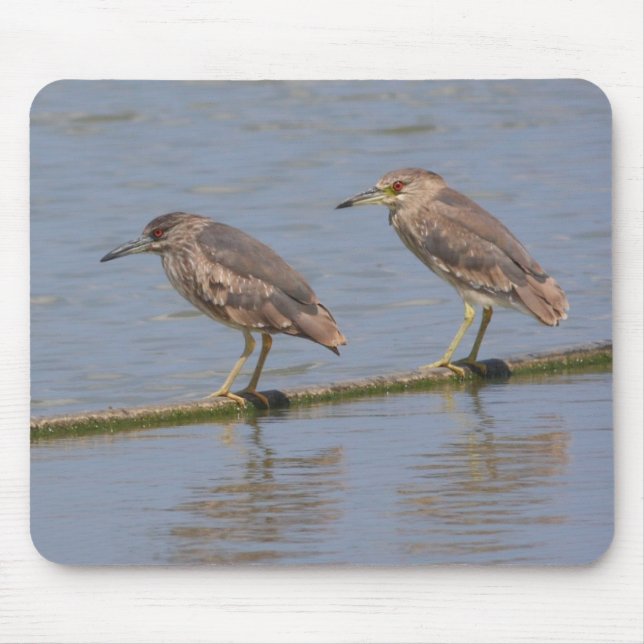 Night Herons Mouse Mat (Front)