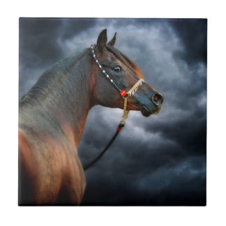 Night Horse Tile