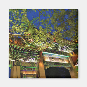 Night in China Magnet