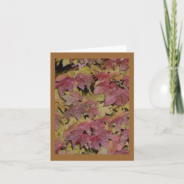 Night Leaves Greeting Cards (Front)