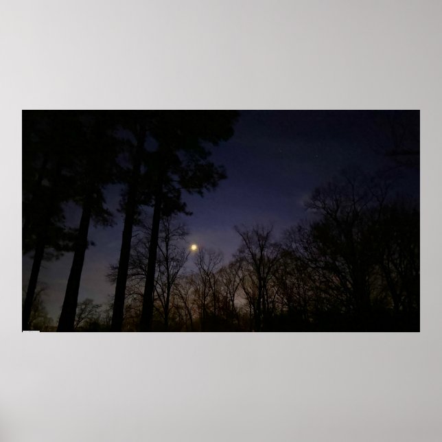 Night Light, Poster (Front)