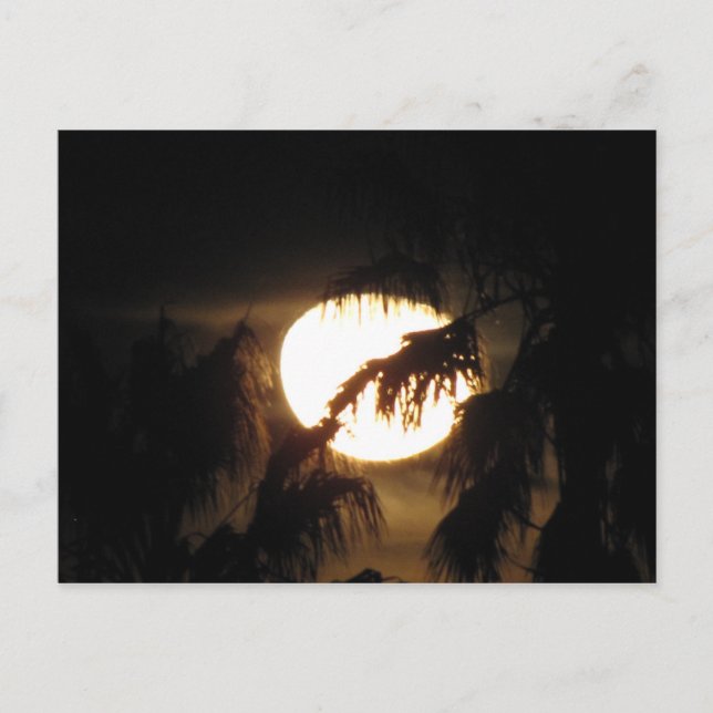 night moon postcard (Front)