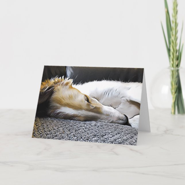 Night Night Borzoi Announcement (Front)