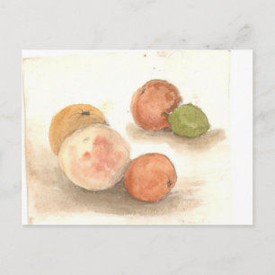 night of the klassie iguana postcard