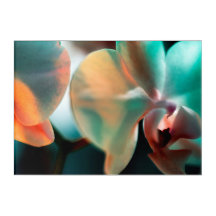 Night Orchid Acrylic Wall Art