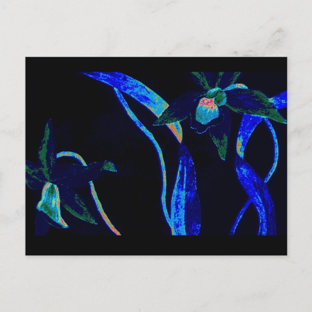 Night Orchid Postcard (Front)