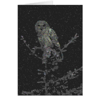 Night Owl