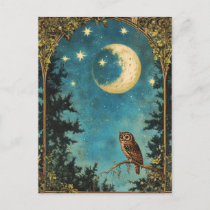 NIGHT OWL FULL MOON AND STARRY NIGHT HOLIDAY POSTCARD