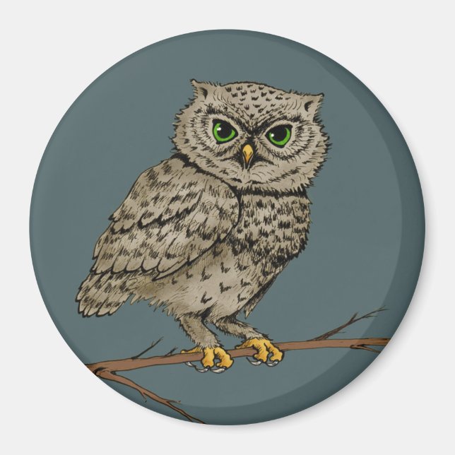 night owl magnet (Front)