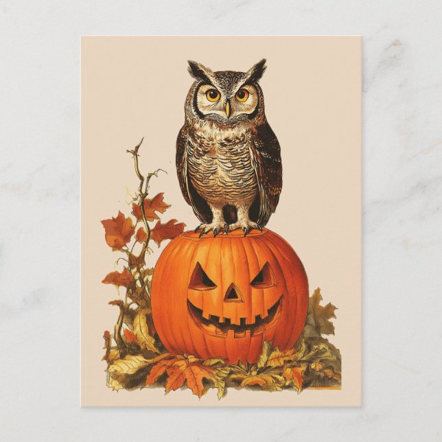 NIGHT OWL ON HALLOWEEN PUMPKIN AND AUTUMN LEAVES HOLIDAY POSTCARD (Front)