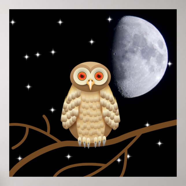 Night owl poster (Front)