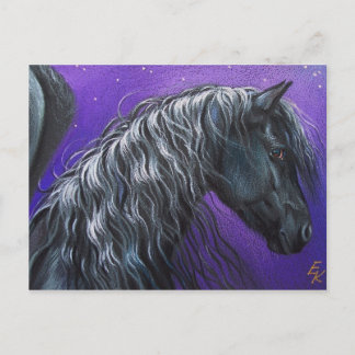 Night Pegasus Postcard