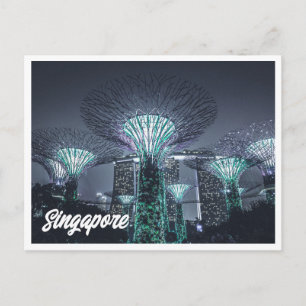 Night Photo of Singapore Gardens Postcard