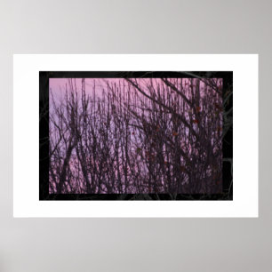 night poster