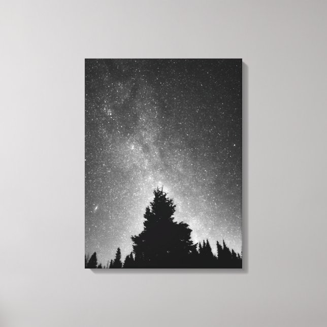 Night Sky Canvas Print (Front)