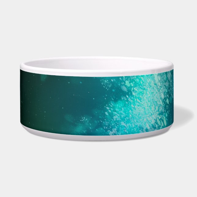Night Sky Emerald Green Ceramic Pet Bowl (Front)