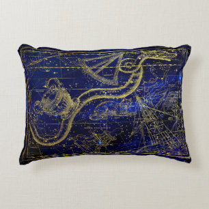 Night Sky Gold Compass Decorative Cushion