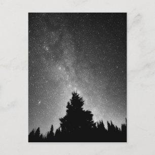 Night Sky Postcard