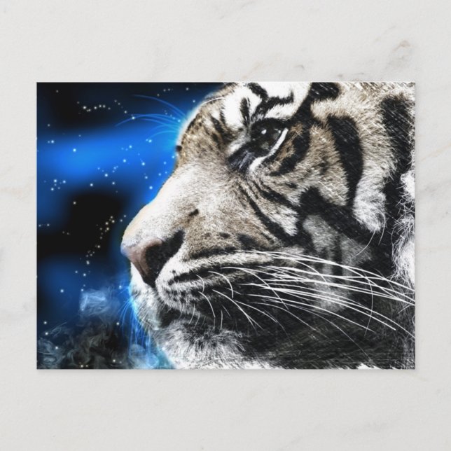 night sky stars white Tiger Postcard (Front)