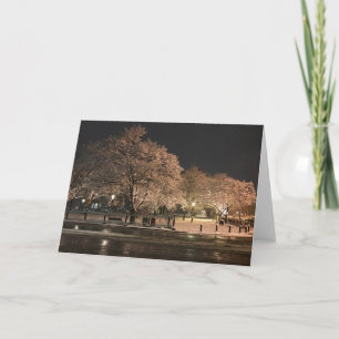 Night Snow Salem Common Massachusetts Photo  Card
