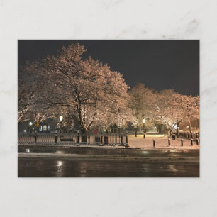 Night Snow Salem Common Massachusetts Photo  Postcard