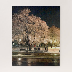 Night Snowstorm Salem Common Massachusetts Photo Jigsaw Puzzle