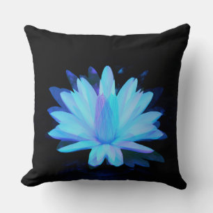 Night time... cushion