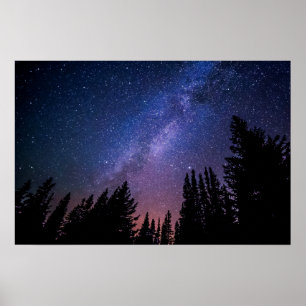 Night Trees and Stars Artwork Poster