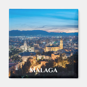 Night view of Malaga Cathedral in Malaga, Spain Magnet