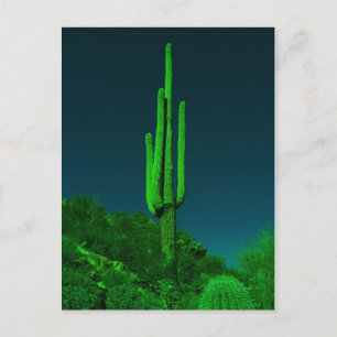Night Vision Cactus Postcard