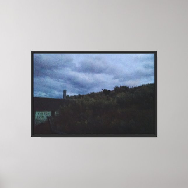 Night Visitor Stretched Canvas Print (Front)