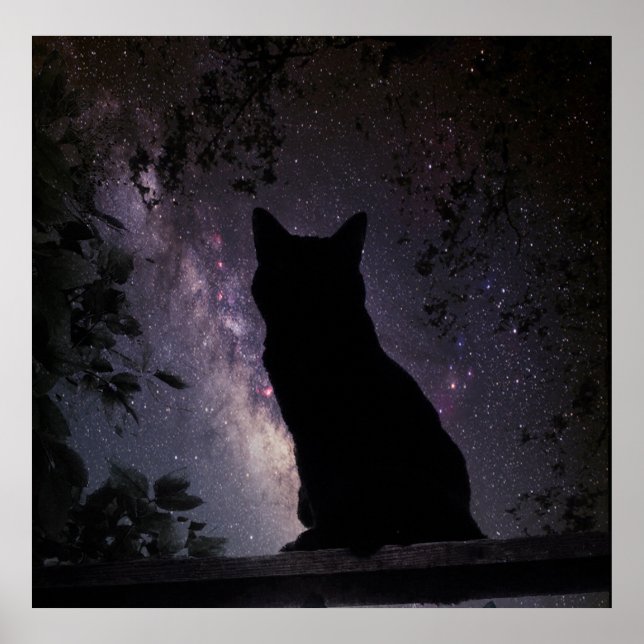 Night Watch Poster (Front)