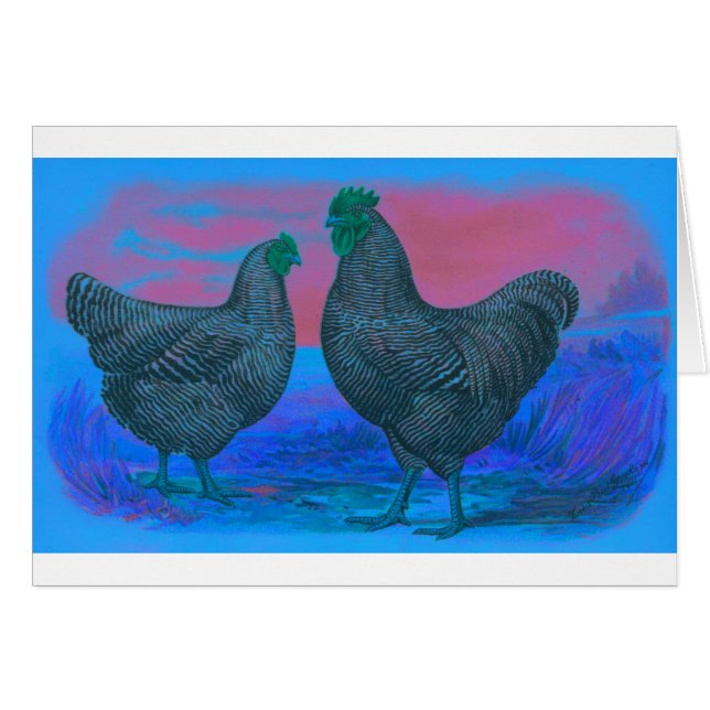 NightBreak (Front Horizontal)