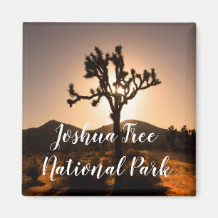 Nightfall begins at Joshua Tree Magnet