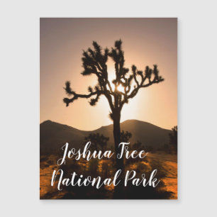Nightfall begins at Joshua Tree Magnet