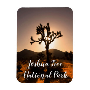 Nightfall begins at Joshua Tree Magnet