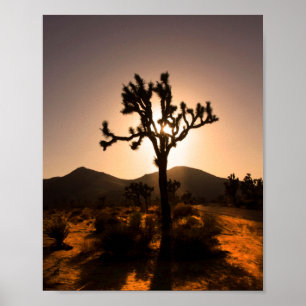 Nightfall begins at Joshua Tree Poster