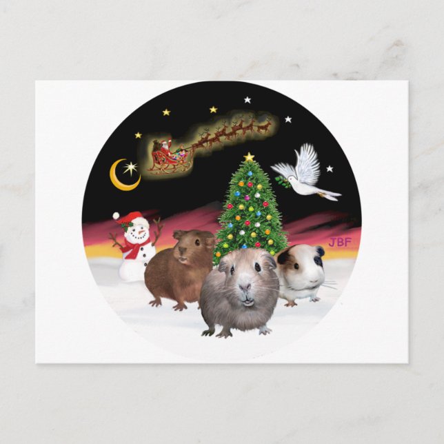 NightFlight - 3 Guinea Pigs Postcard (Front)