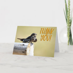 Nighthawk Photo Thank You Card